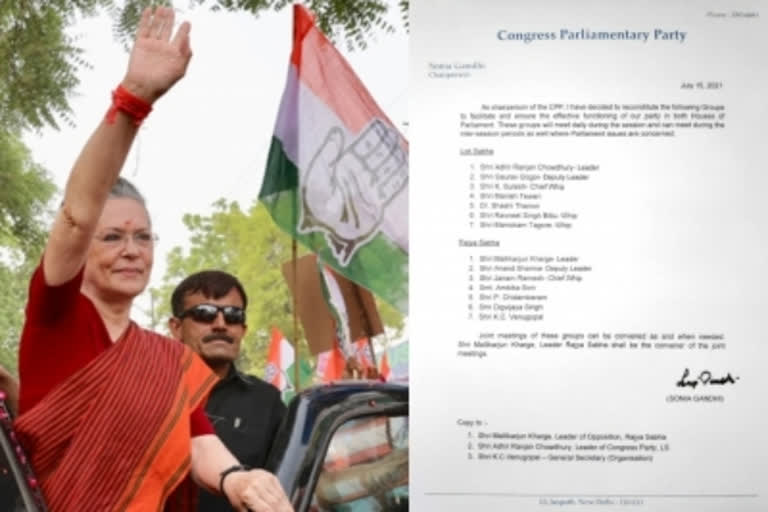 sonia gandhi-sets-up-parliament-groups-adhir ranjan chowdhuri-to-stay-as-floor-leader