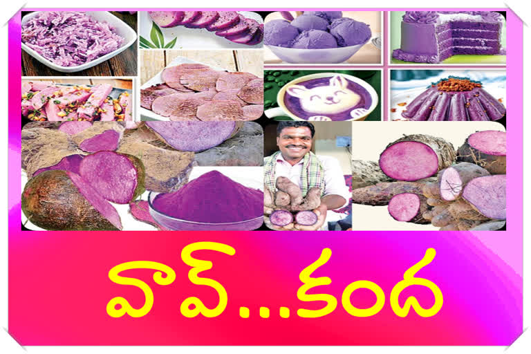 Purple yam