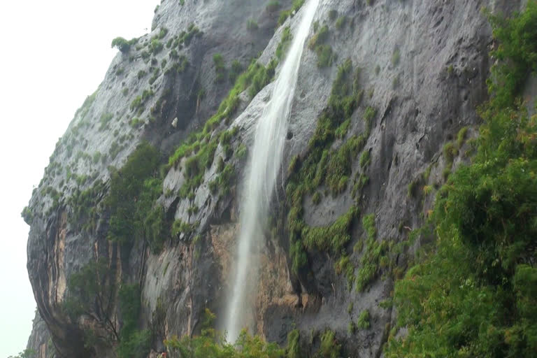 adimali pancharakkuth waterfalls  idukki pancharakkuth waterfalls  pancharakkuth waterfalls  അടിമാലി പഞ്ചാരക്കുത്ത് വെള്ളച്ചാട്ടം  ഇടുക്കി പഞ്ചാരക്കുത്ത് വെള്ളച്ചാട്ടം  പഞ്ചാരക്കുത്ത് വെള്ളച്ചാട്ടം