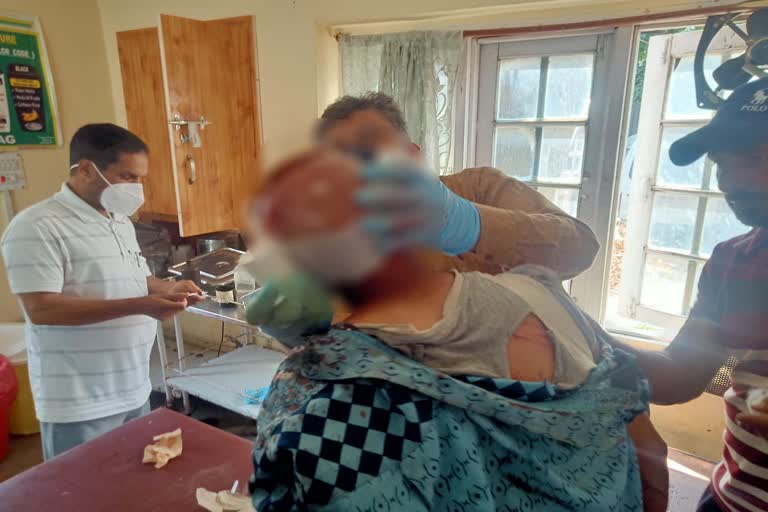 پنزو ویری ناگ میں ریچھ کے حملے میں ایک شخص شدید زخمی