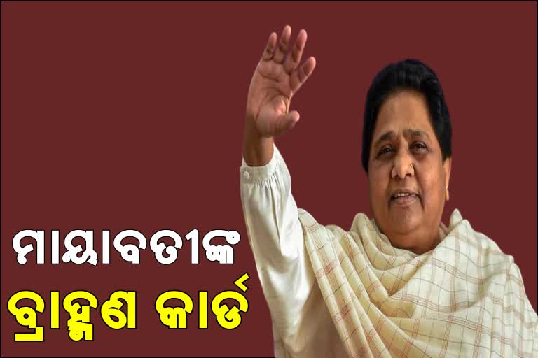 ବିଏପି ଟାର୍ଗେଟରେ ବ୍ରାହ୍ମଣ ସମାଜ: ୨୩ ତାରିଖରୁ ବିଏସପିର ଅଭିଯାନ