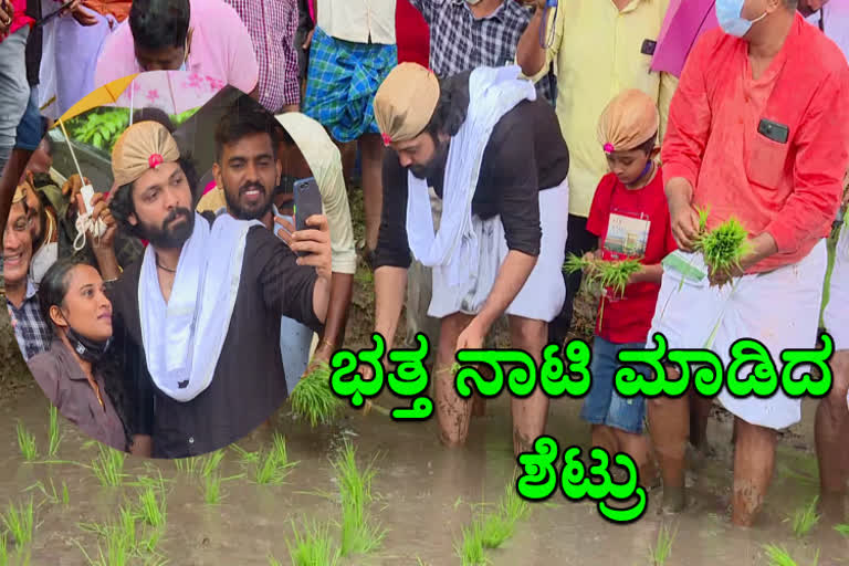 Actor Rakshit Shetty in Paddy farm