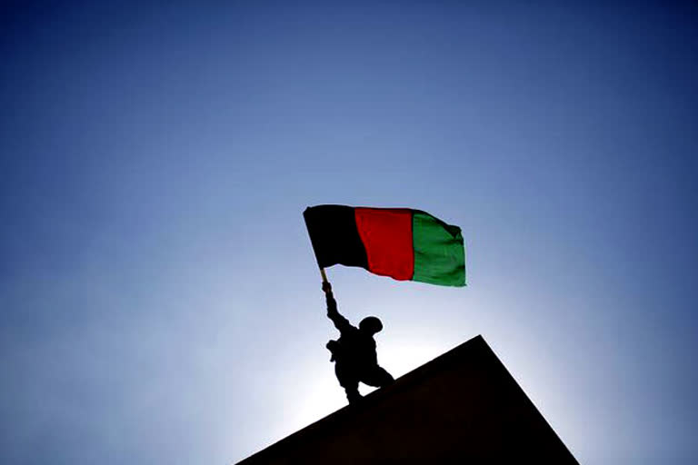 Over 950 Talibs killed, 500 injured in operation by Afghan forces