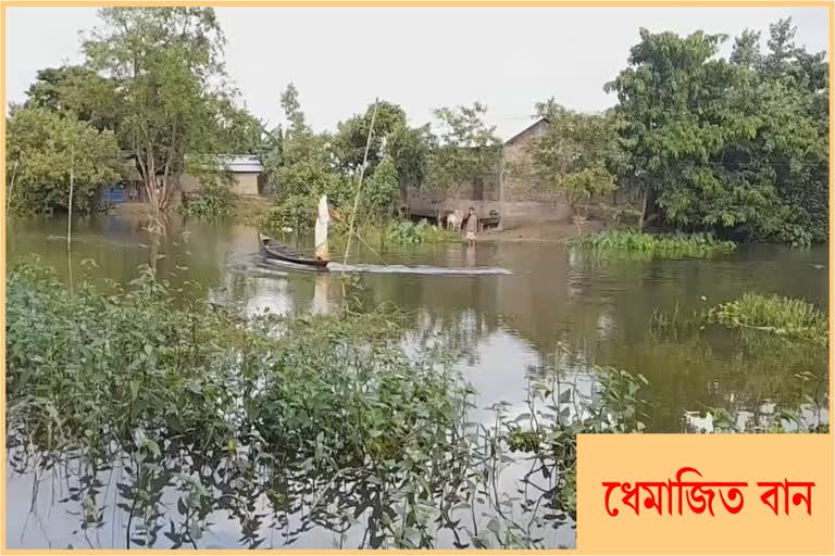 flood-continue-in-bordolini-of-dhemaji