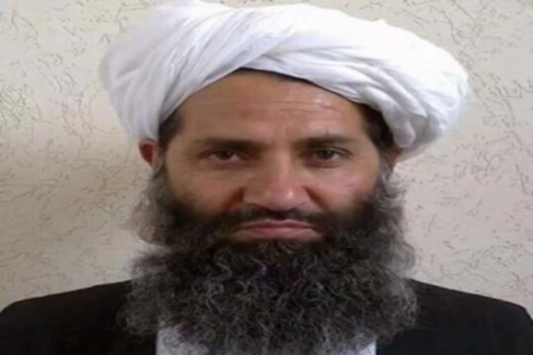 Taliban chief Hibatullah  Hibatullah on threat allegation  Mawlawi Hibatullah Akhundzada  Taliban negotiation in Doha  Taliban delegation  Hibatullah message on Eid  താലിബാൻ മേധാവി  അഫ്‌ഗാൻ - താലിബാൻ ചർച്ച  മൗലവി ഹിബാത്തുള്ള അഖുന്ദ്‌സാദ.