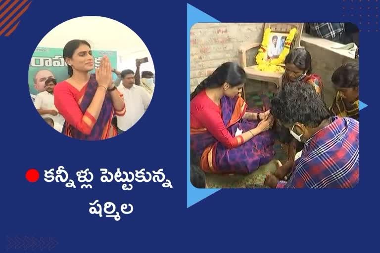 SHARMILA hunger strike, ysrtp sharmila deeksha at penuballi