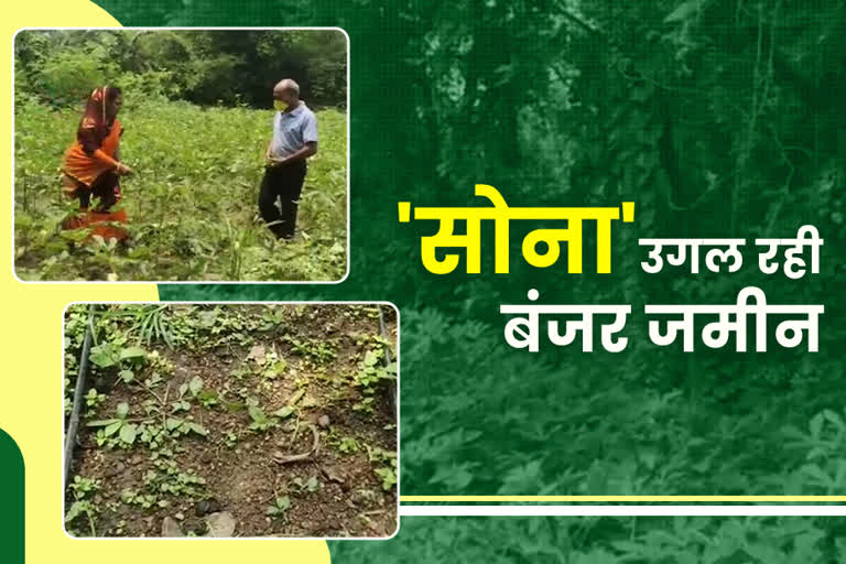 farming on barren land in dhanbad