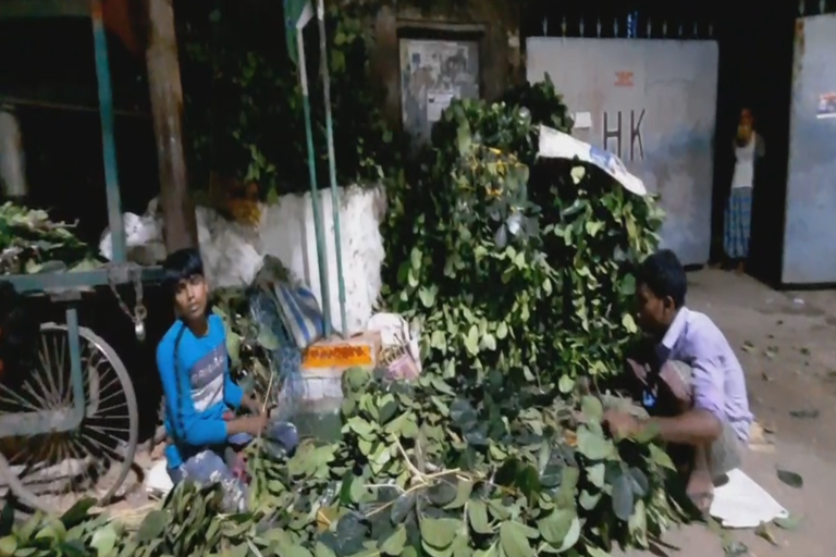 cattle feed dealers business affected due to coronavirus in kolkata