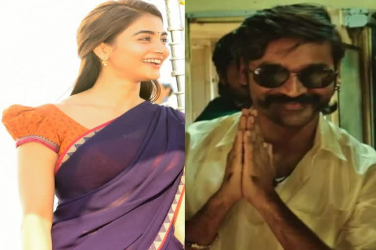 pooja hegde join hands with dhanush next