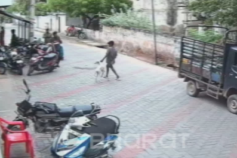 person-arrested-for-theft-a-dog-in-madurai