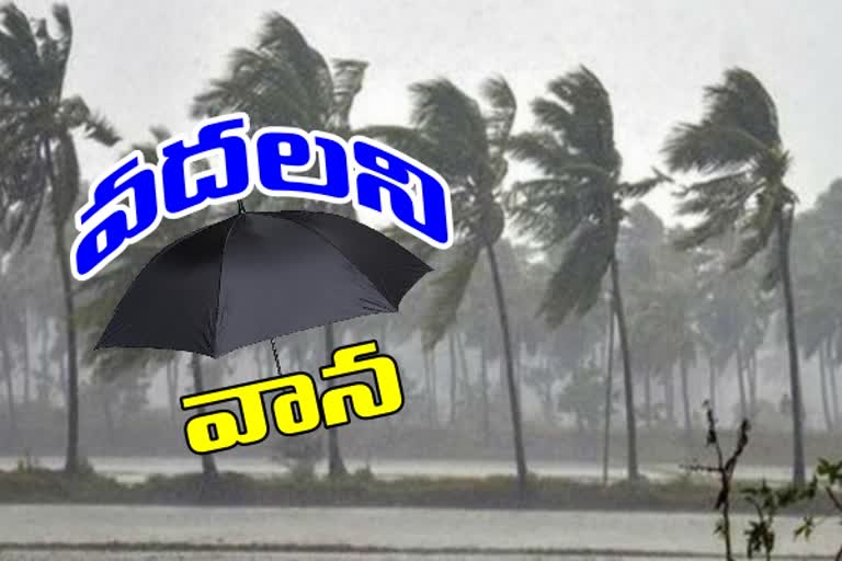 ap rains