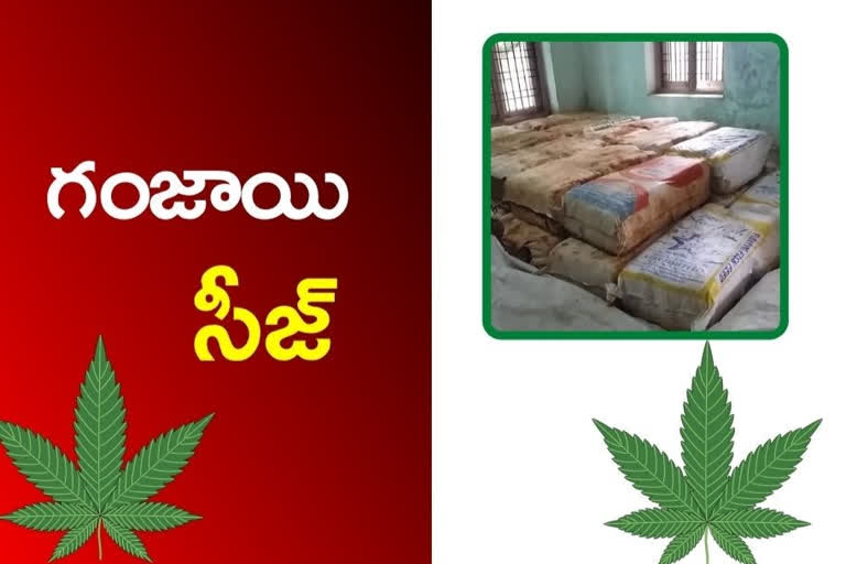 Marijuana seized at bhadrachalam