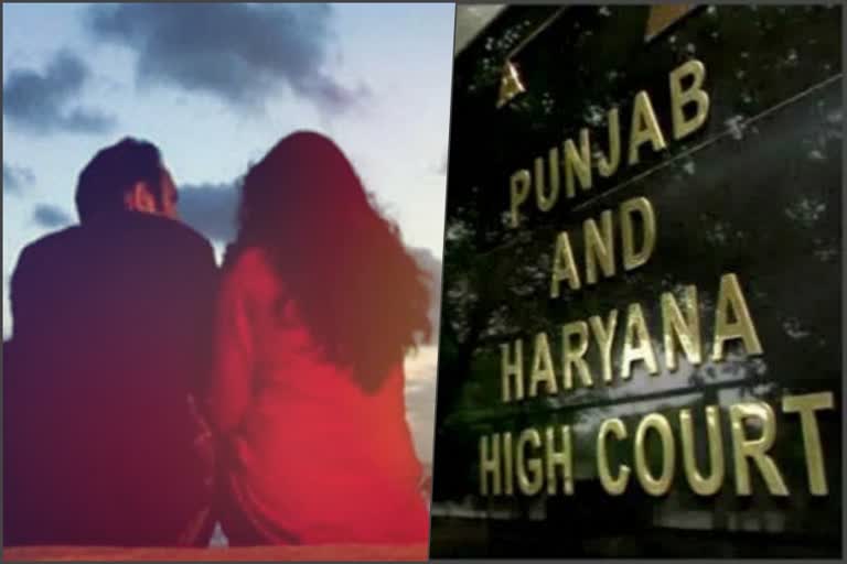 punjab haryana high court