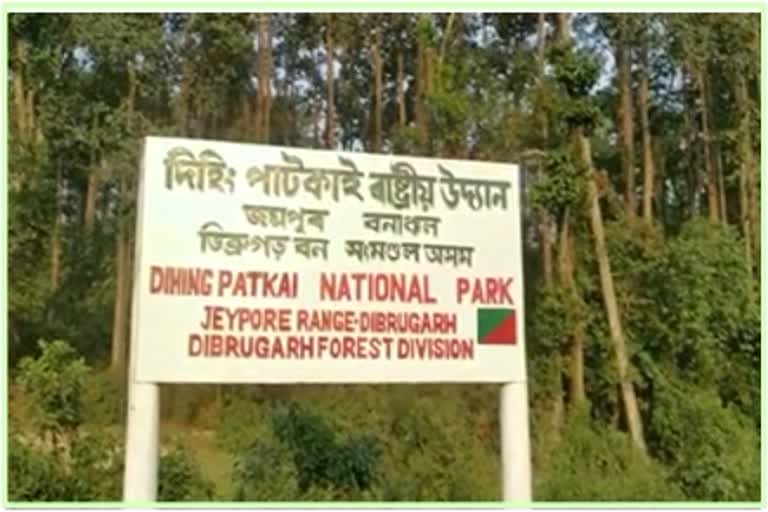 one-elephant-died-on-firing-at-dihing-patkai-national-park