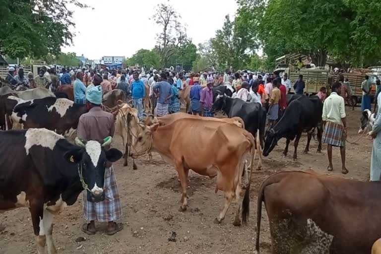 இரண்டு கோடி ரூபாய்க்கு கால்நடைகள் விற்பனை