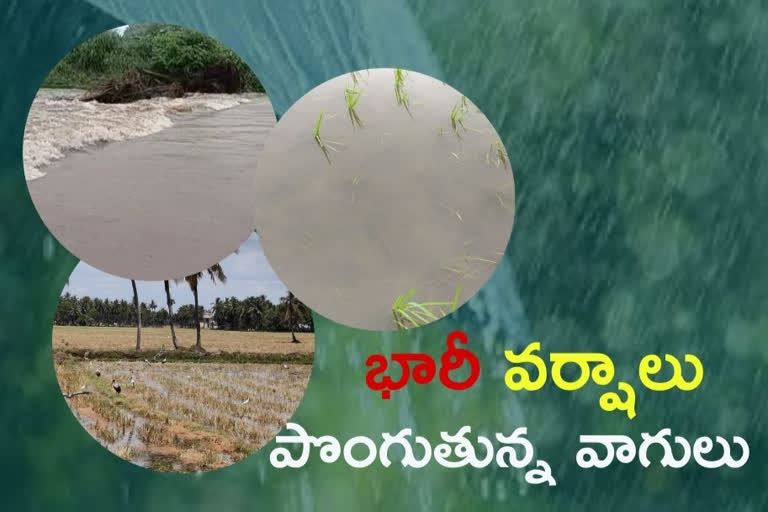 rains in ap