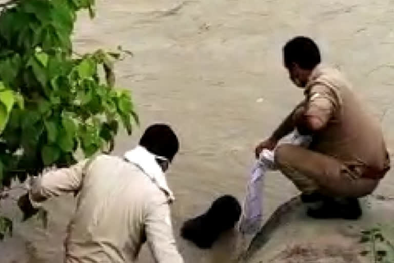 Pregnant woman jumped, परिवारिक कलह,  गर्भवती महिला