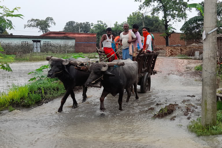 बाढ़