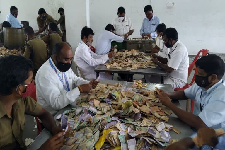 2,33,57,28 crore rupees collected in malemahadeshwara temple