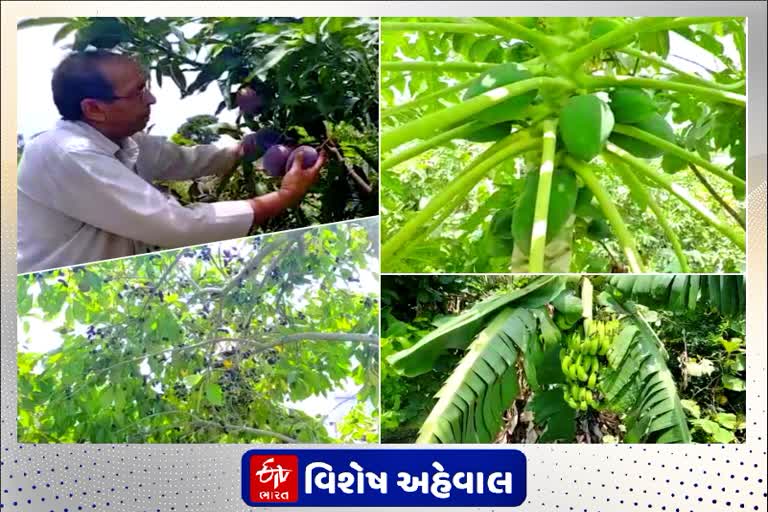 organic farming: કરનાલના ખેડૂતે શુન્ય બજેટમાં કરી જૈવિક ખેતીની શરુઆત