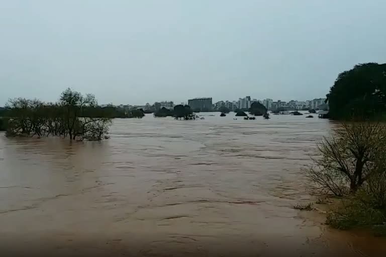 Consistent rise in water level of Panchganga river