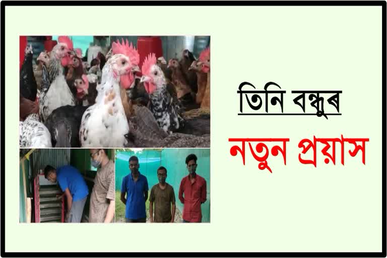 educated youth make a great income by raising poultry farm