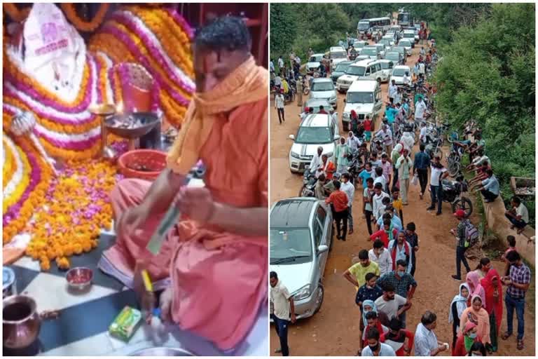 सरिस्का पहुंचे हजारों लोग, Thousands of people reached Sariska