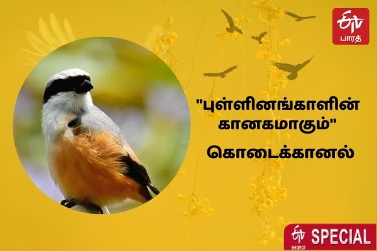 மலைகளின் இளவரசி