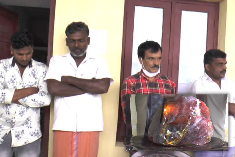 five arrested with ambergris in munnar idukki  ambergris in munnar  whale vomit in munnar  തിമിംഗലത്തിന്‍റെ ഛർദി വിൽക്കാൻ ശ്രമം  മൂന്നാറിൽ തിമിംഗലത്തിന്‍റെ ഛർദി