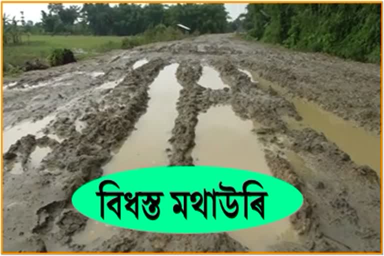 Poor condition of a Embankment of Bogibeel, Dibrugarh District