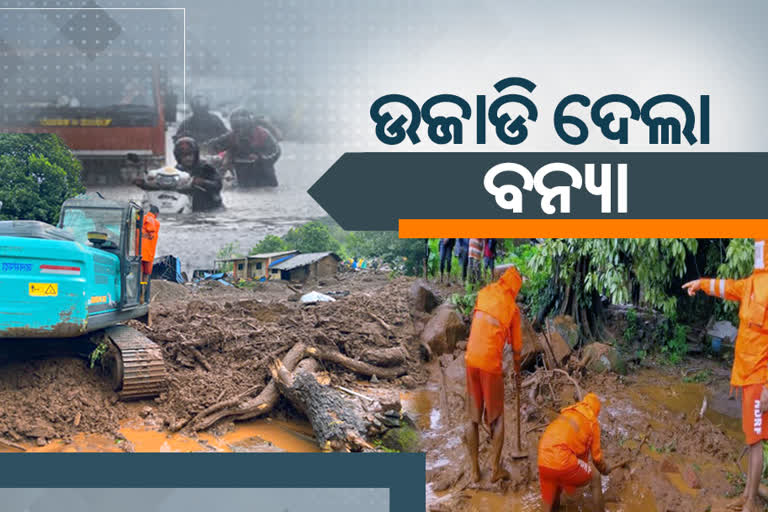 ଭାସୁଛି ମହାରାMumbai : A total of 112 deaths, 3221 animal deaths in flood-hit areasଷ୍ଟ୍ର : ଗଲାଣୀ ୧୧୨ ଜୀବନ, ଉଦ୍ଧାର କାର୍ଯ୍ୟ ଜାରି