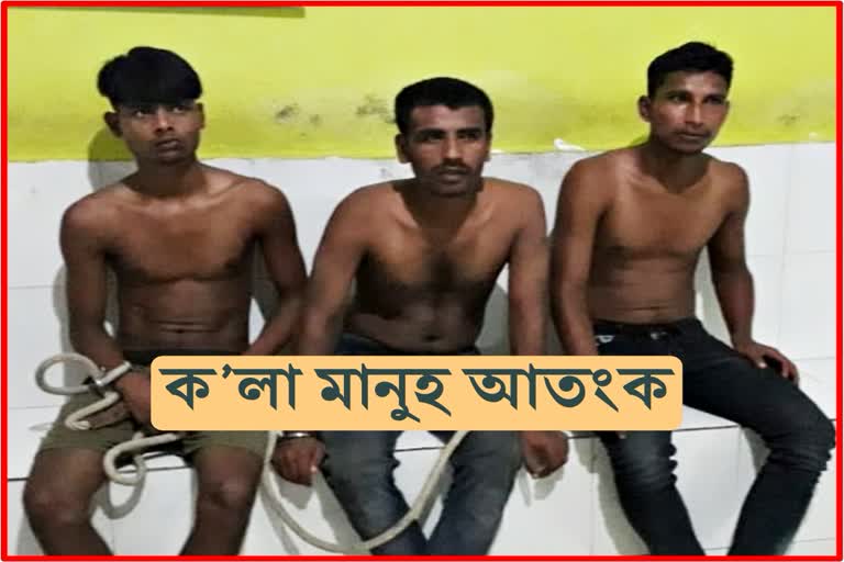 Bongaigaon Blackman 3 thief arrest