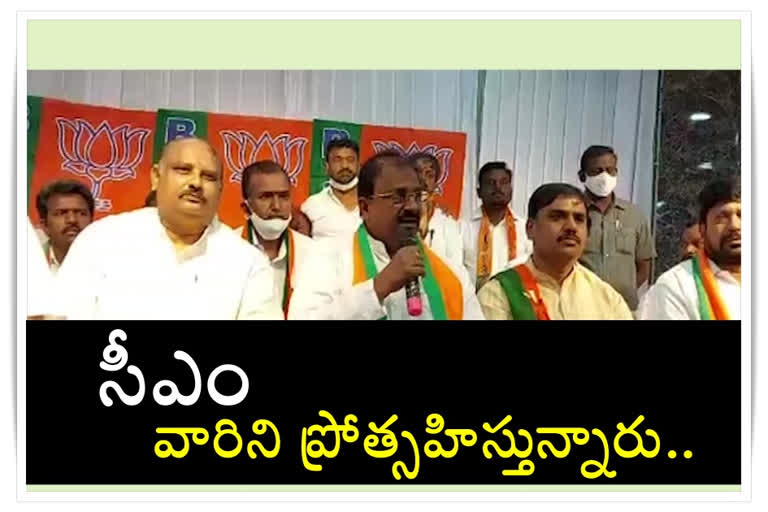 bjp somu veeraju outraged on cm jagan