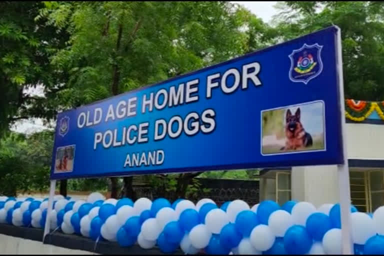 aPolice Dog Old Age Home