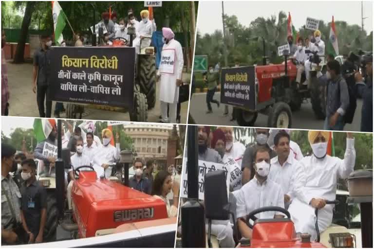 राहुल गांधी ट्रॅक्टर चालवत पोहोचले संसदेत