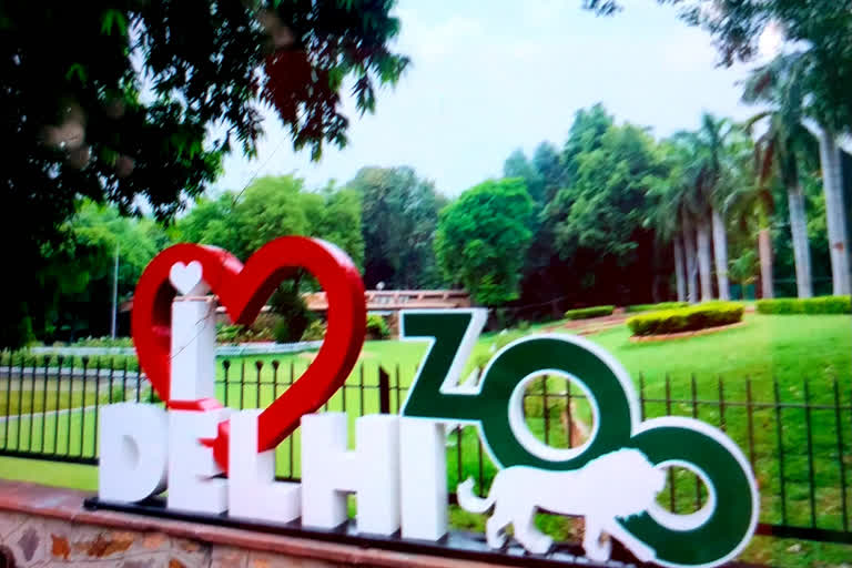 Delhi Zoo