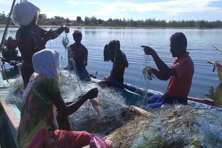 மீனவ கிராமத்தில் புதிய திட்டம்