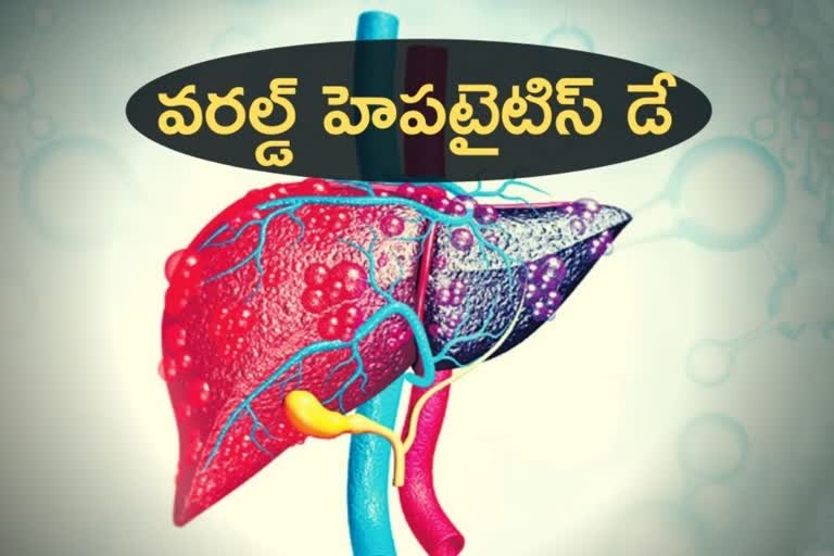 world hepatitis day