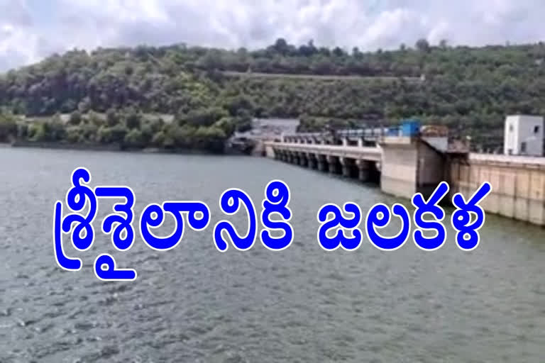 heavy flood flow to srisailam reservoir