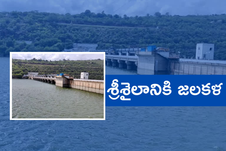 heavy-flood-flow-to-srisailam-reservoir