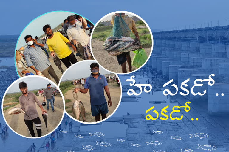 people-fishing-in-parvati-barrage