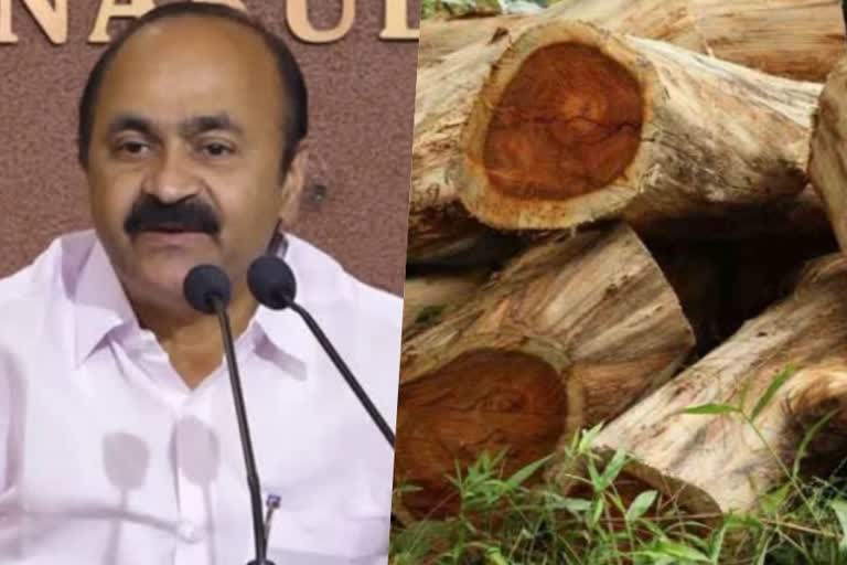 Muttil tree cut case  VD Satheesan says there was a conspiracy between former ministers and officials  മുട്ടിൽ മരം മുറി  വി.ഡി സതീശൻ  പ്രതിപക്ഷനേതാവ് വി.ഡി സതീശൻ  Leader of Opposition VD Satheesan  Muttil tree cut case  VD Satheesan  തിരുവനന്തപുരം വാര്‍ത്ത  Thiruvananthapuram news