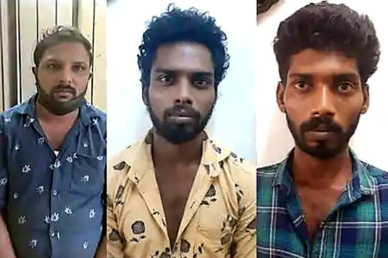 steal gold and cash from a old woman's house  three arrested for steal gold in pathanamthitta  പത്തനംതിട്ടയിൽ പട്ടാപ്പകൽ മോഷണം  മോഷണ കേസിൽ പ്രതികൾ അറസ്റ്റിൽ