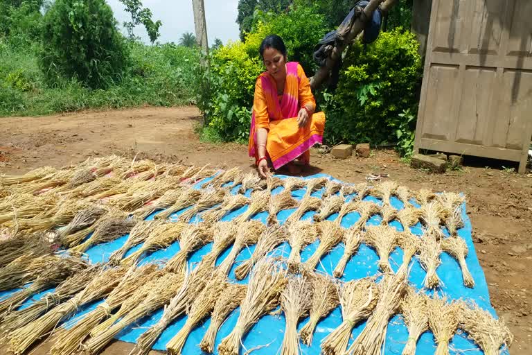 female-farmer-prabhati-bharat-preserved-three-hundred-species-of-paddy-in-bastar