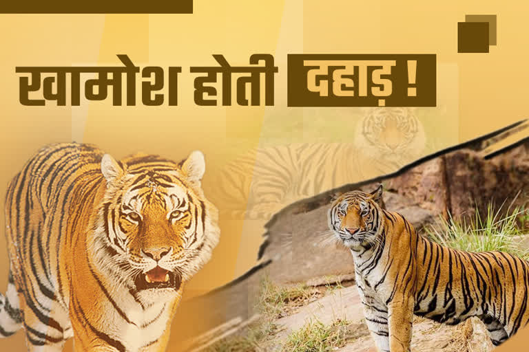 palamu tiger reserve