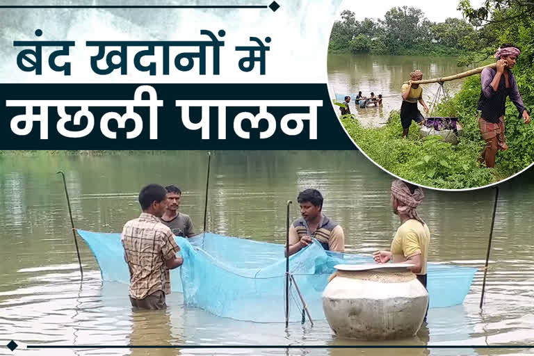 promotion of fish farming in pakur