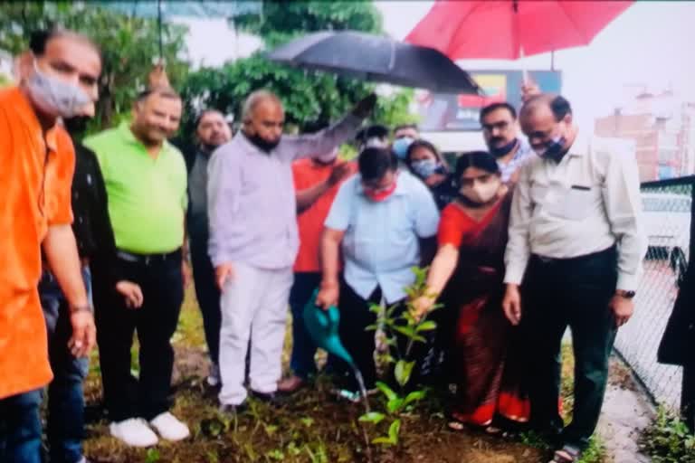 गुलाबचंद कटारिया , सोशल मीडिया , कटारिया ट्रोल,  बारिश में पौधरोपण , उदयपुर समाचार,  Gulabchand Kataria , social media ,  kataria troll, planting in the rain