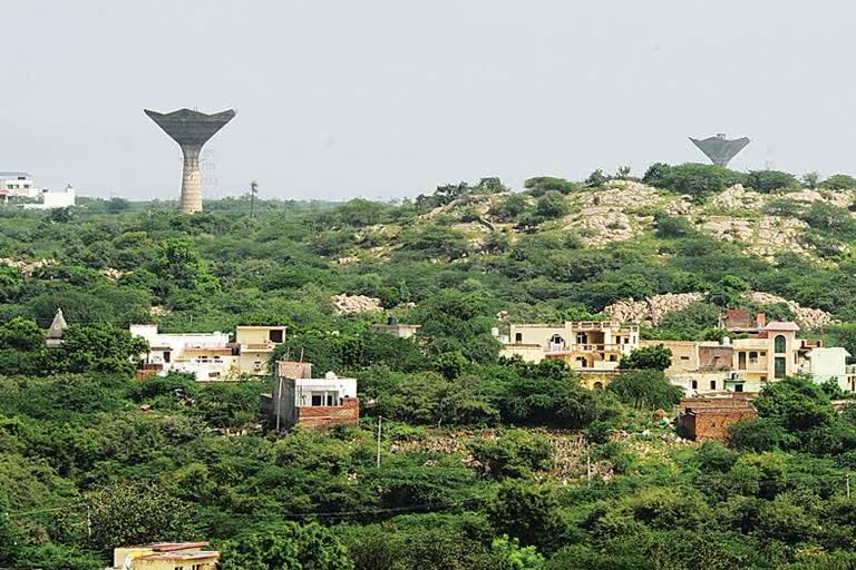 encroachment faridabad aravali forest