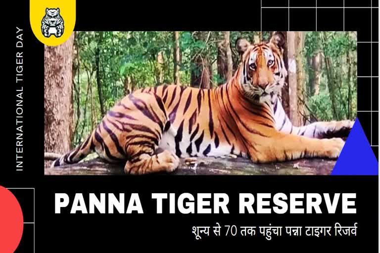 panna tiger reserve