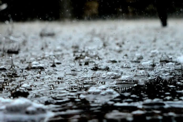 World Rain Day: ਮੀਂਹ ’ਤੇ ਨਿਰਭਰ ਹੈ ਧਰਤੀ ’ਤੇ ਸਾਰਾ ਜੀਵਨ